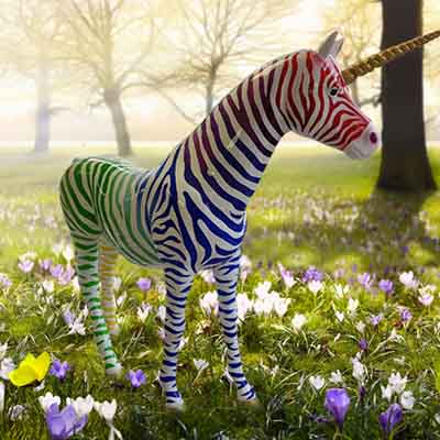 Content manager animaux en résine